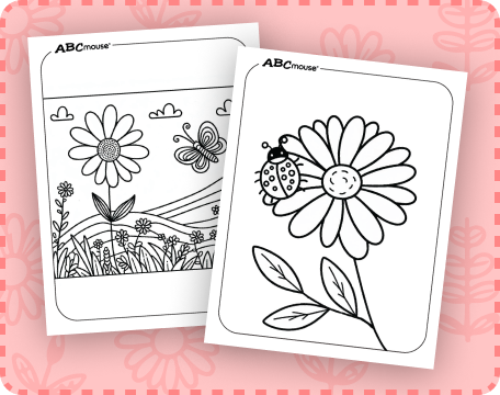 Free printable daisy flower pictures from ABCmouse.com. 