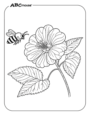 Free printable bumble bee with flower coloring pages for kids from ABCmouse.com. 