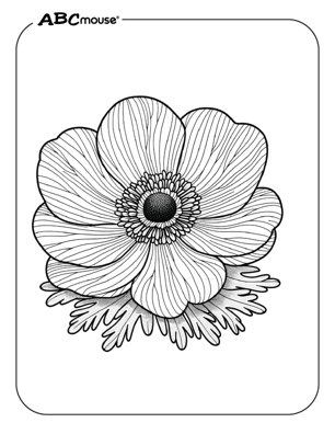 Free printable large flower coloring pages for kids from ABCmouse.com. 