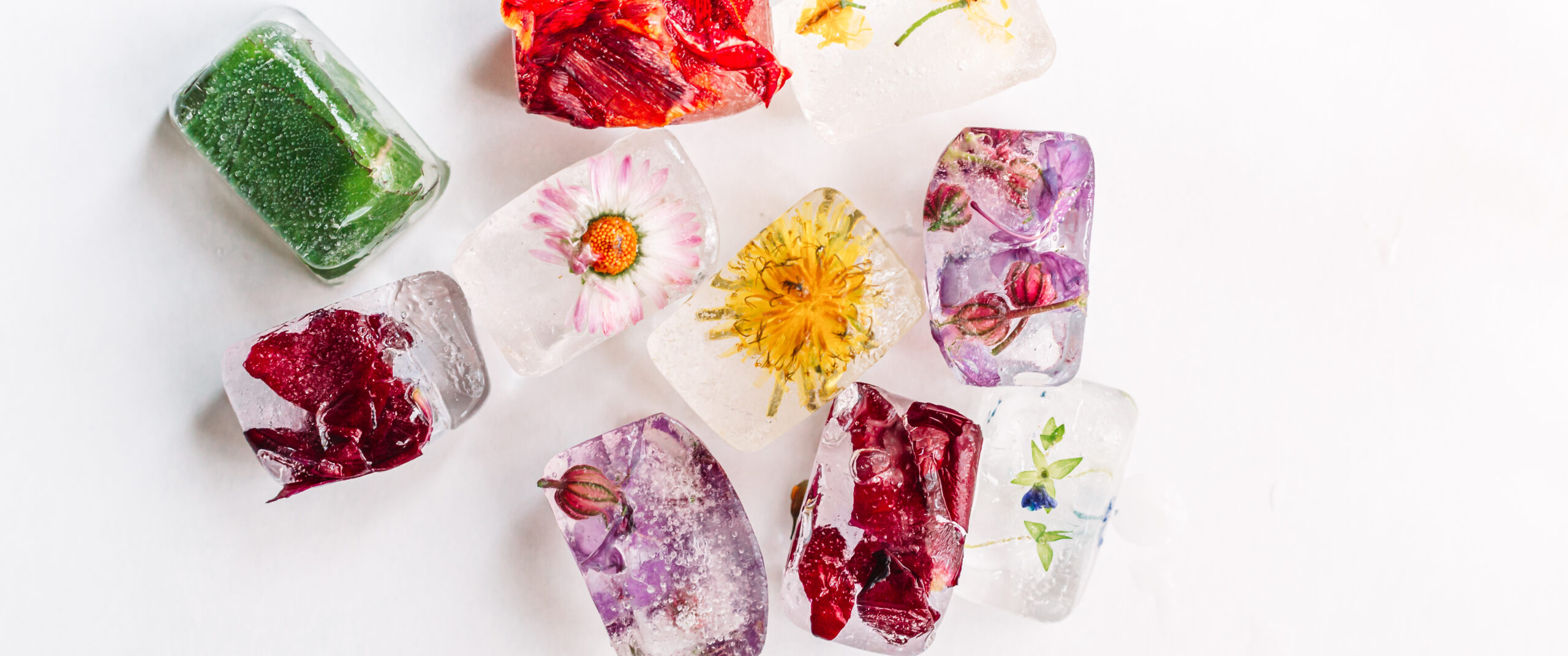 Ice cubes with flowers frozen inside of them. 