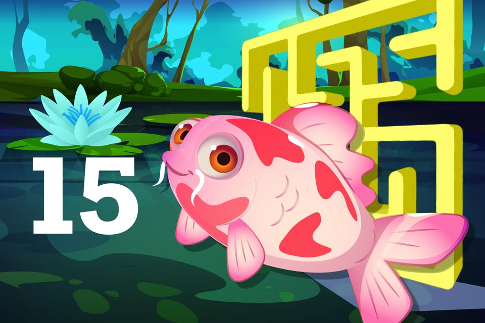 Number 15 Koi Maze