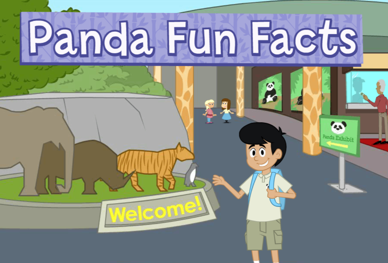 Panda Fun Facts