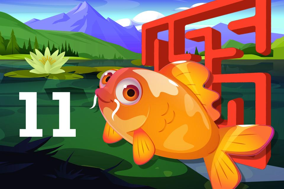 Number 11 Koi Maze