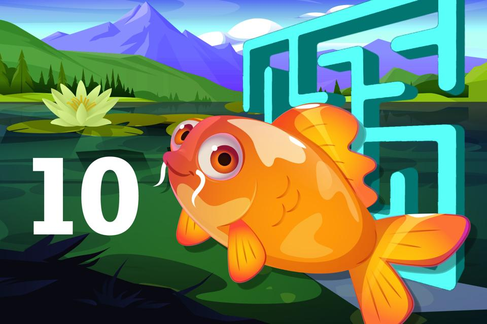 Number 10 Koi Maze