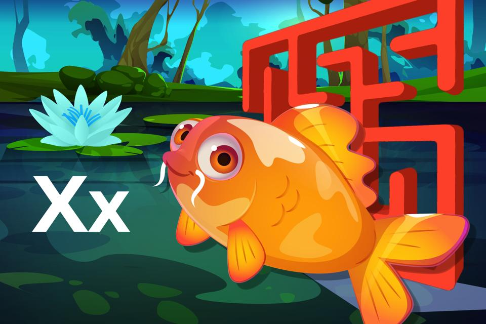 Letter Xx Koi Maze