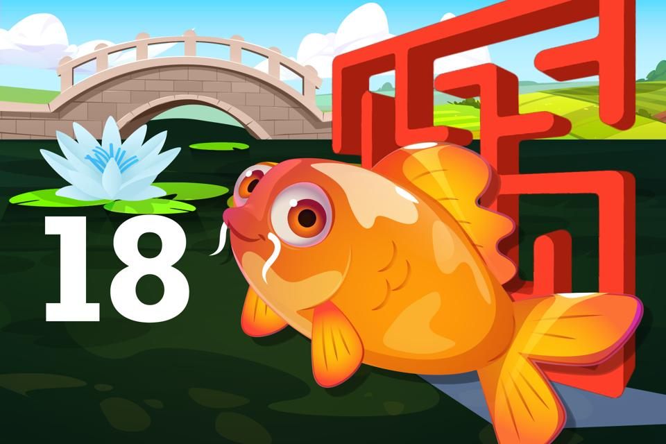 Number 18 Koi Maze
