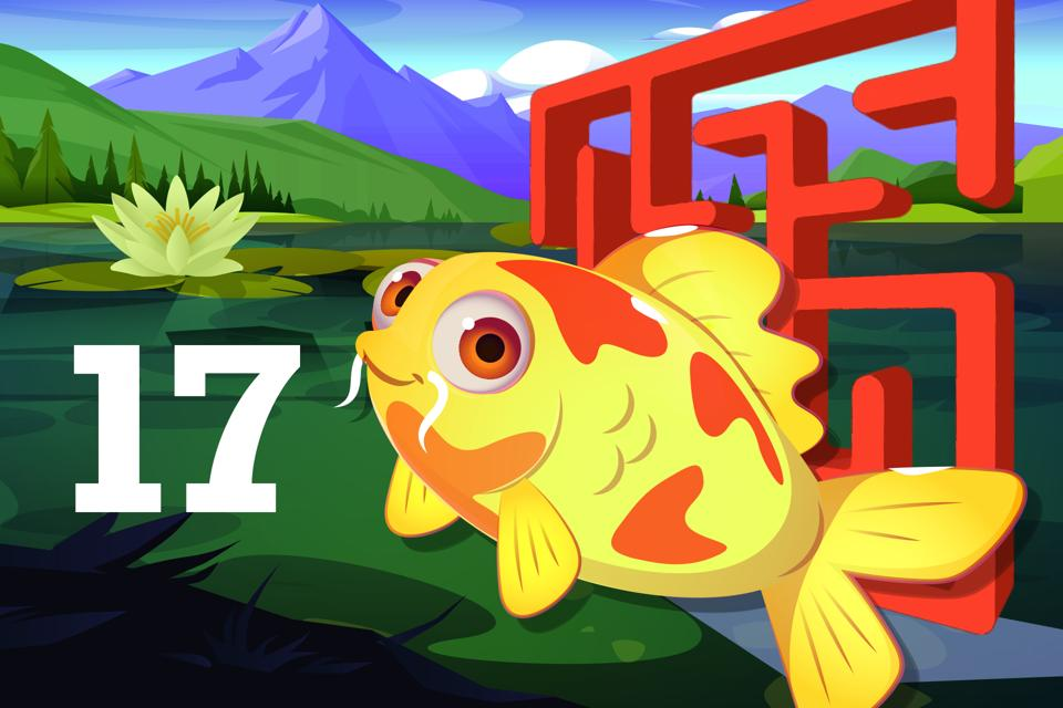 Number 17 Koi Maze