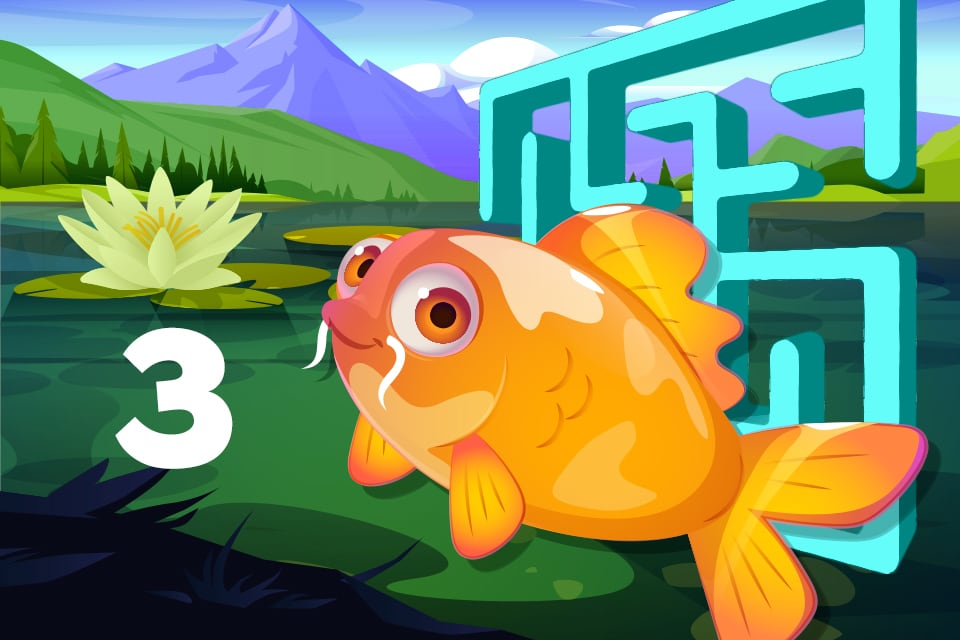 Number 3 Koi Maze