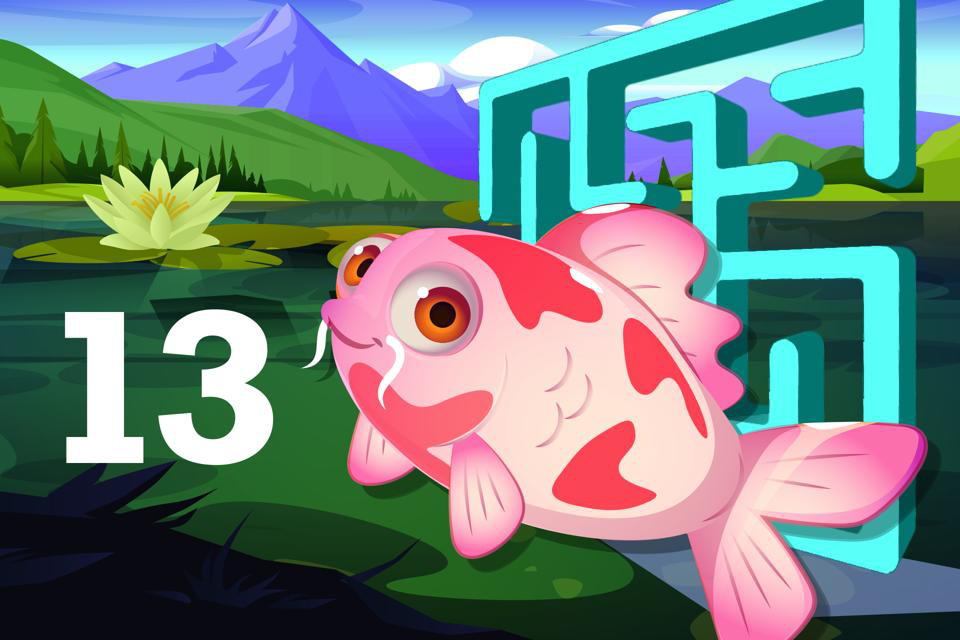 Number 13 Koi Maze