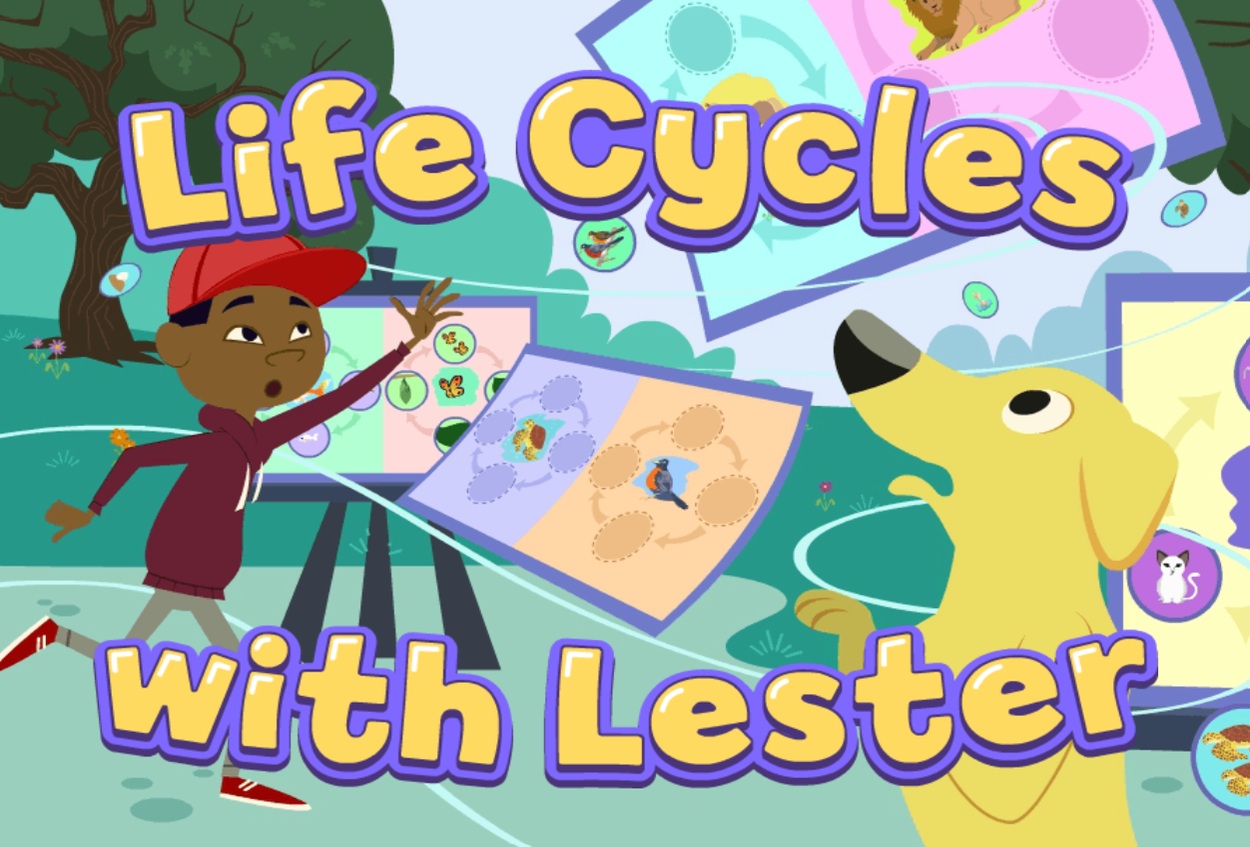 Life Cycles with Lester