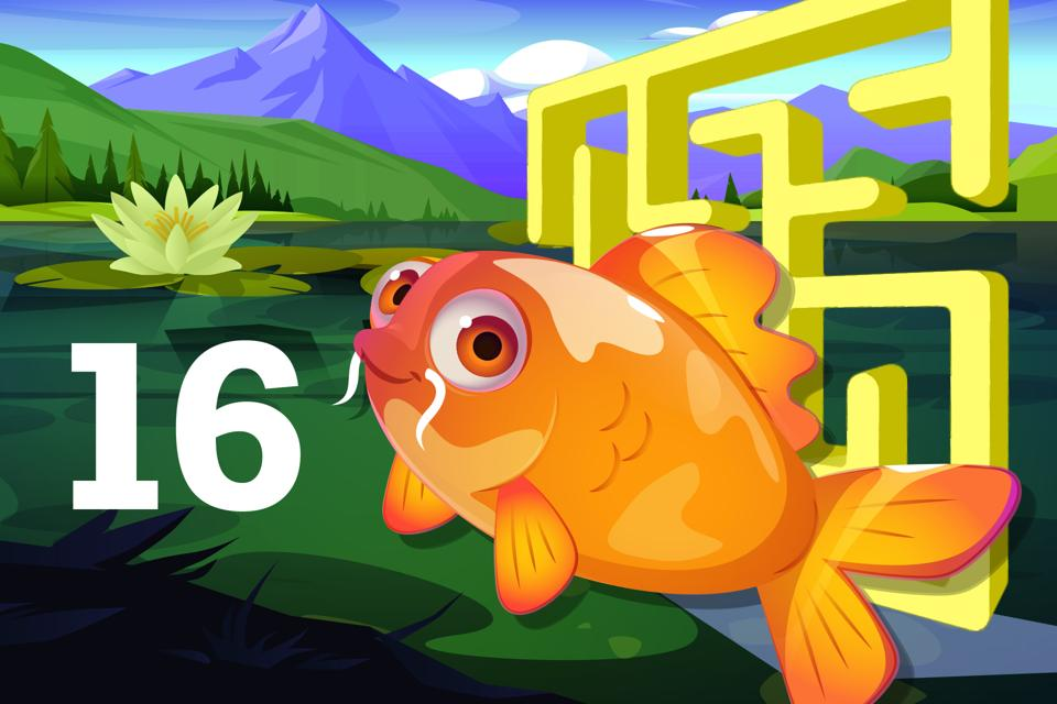 Number 16 Koi Maze