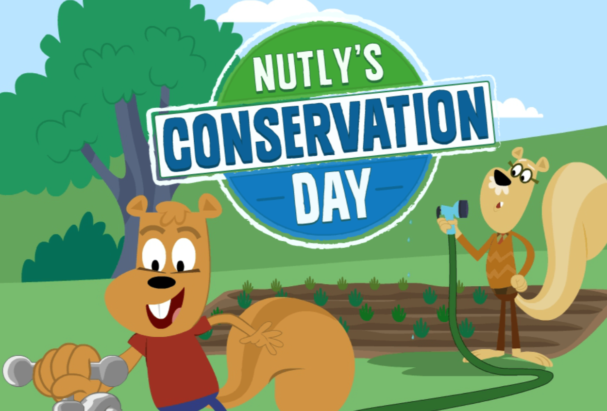 Nutly's conservation day a fun ABCmouse math game for kids to learn while playing games online. 