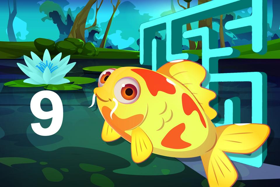 Number 9 Koi Maze