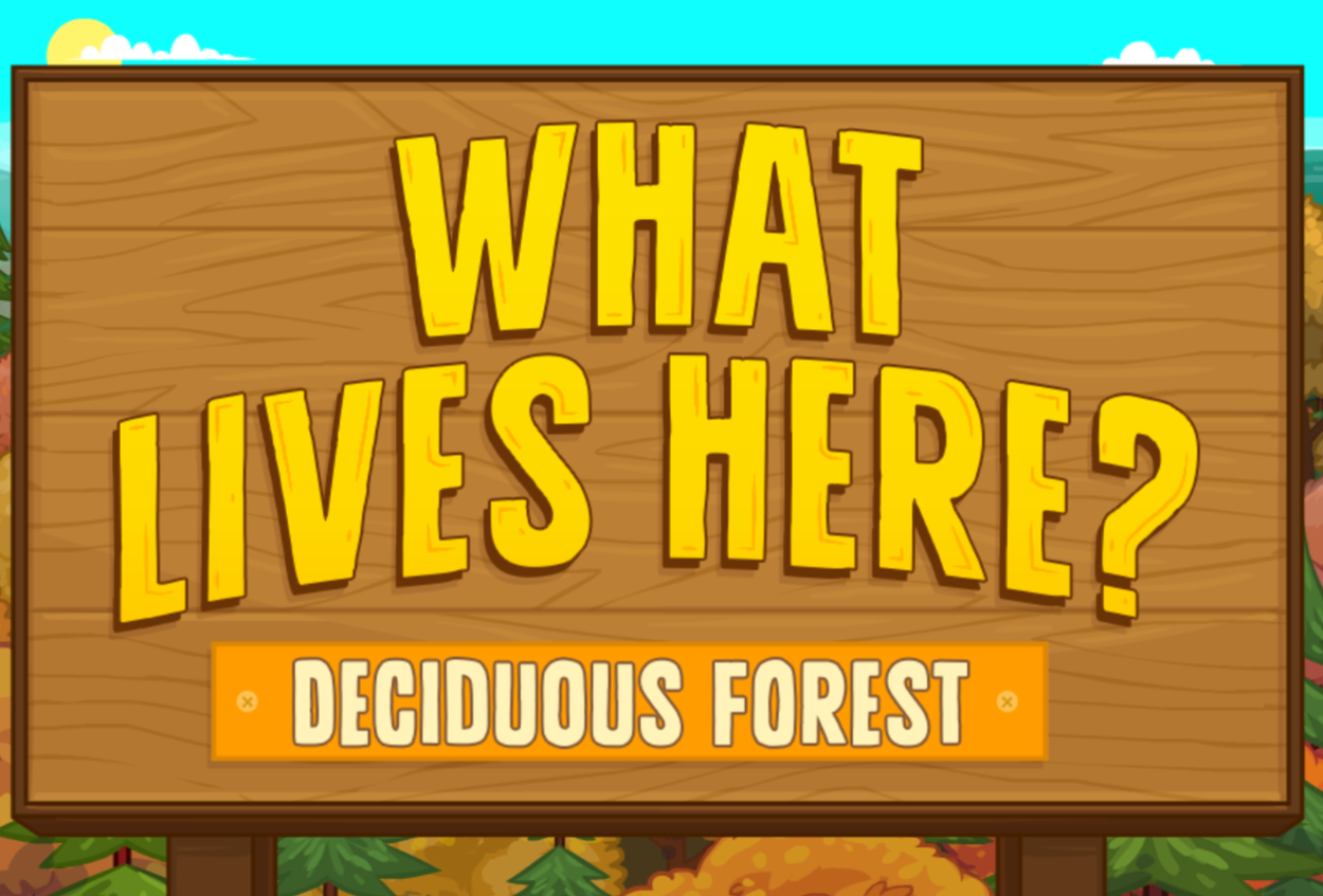 What Lives Here? Deciduous Forest