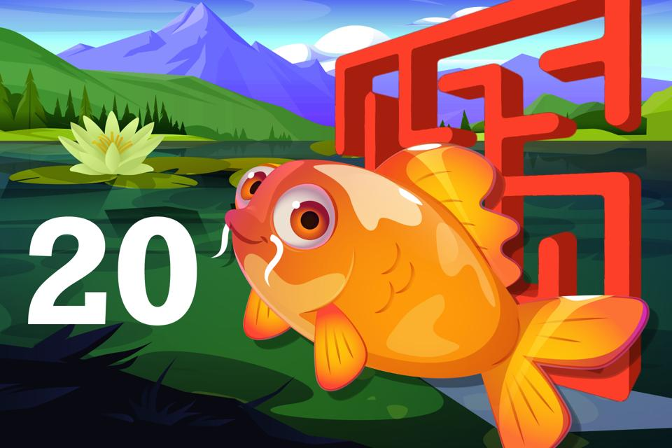 Number 20 Koi Maze