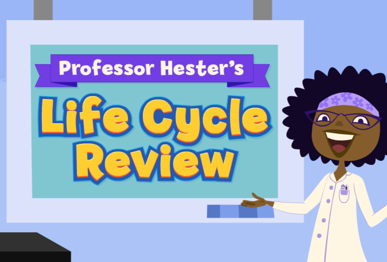 Professor Hester’s Life Cycle Review