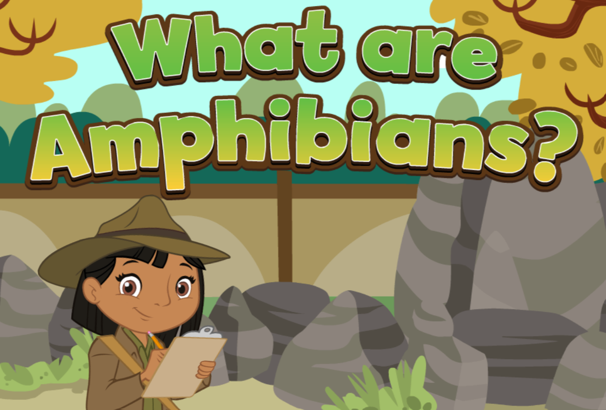 What Are Amphibians?