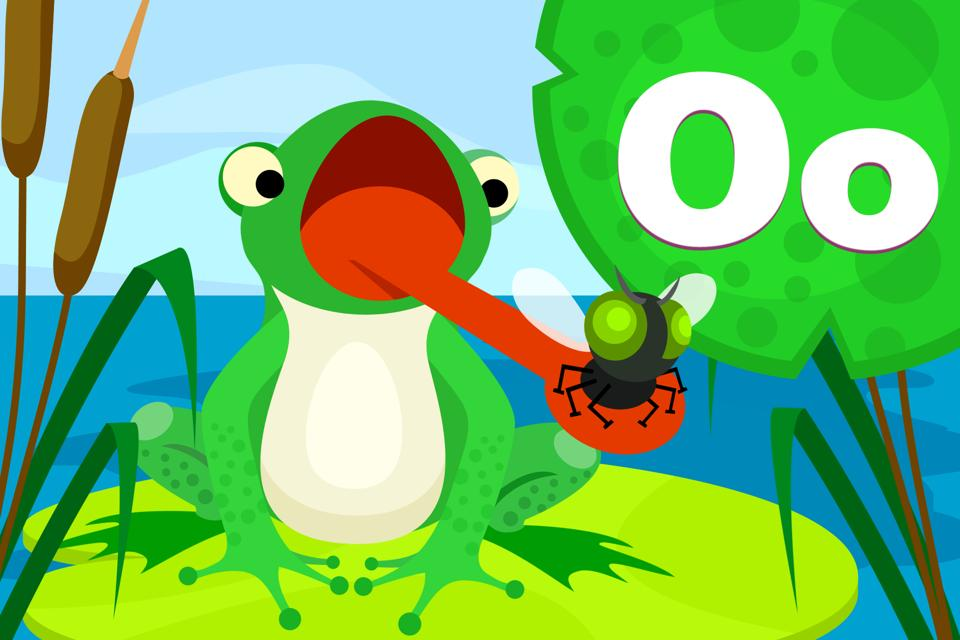 Frog Feeder Name Oo