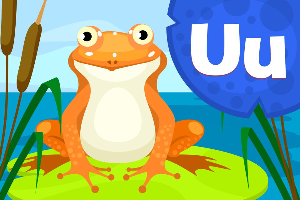 Frog Feeder Name Uu