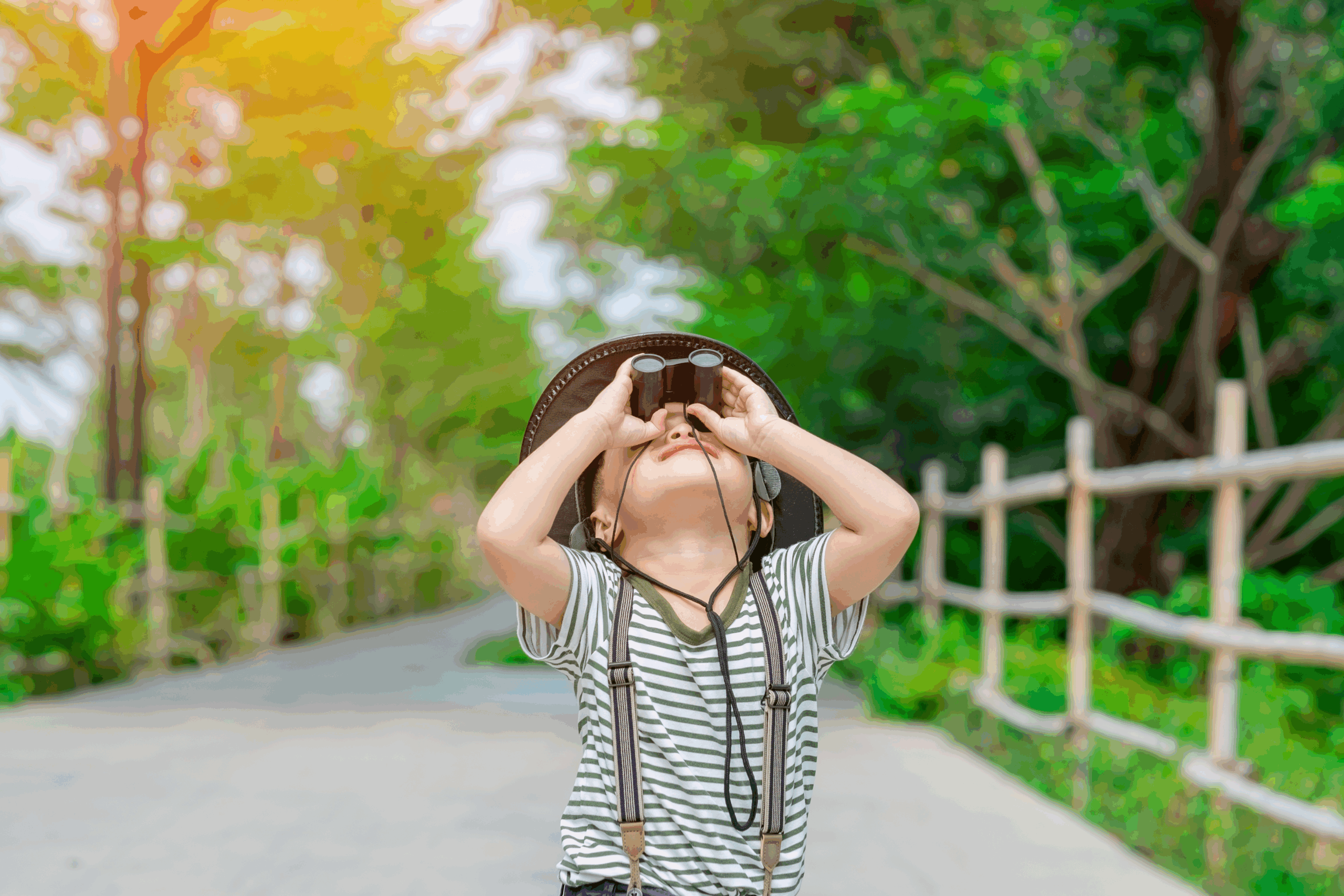 A young boy using binoculars to look at birds. 