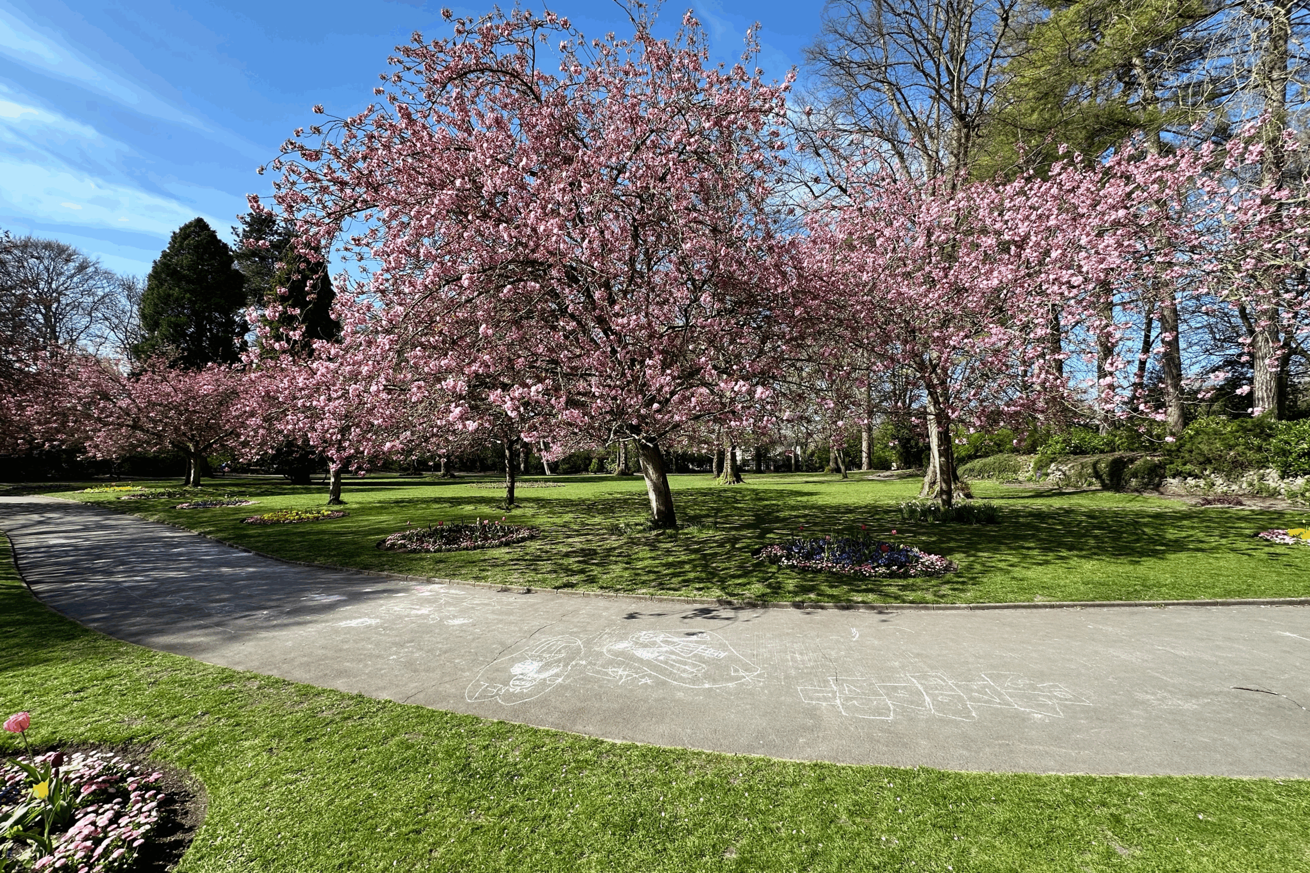 A beautiful paved walking path with side walk chalk drawn on it. 