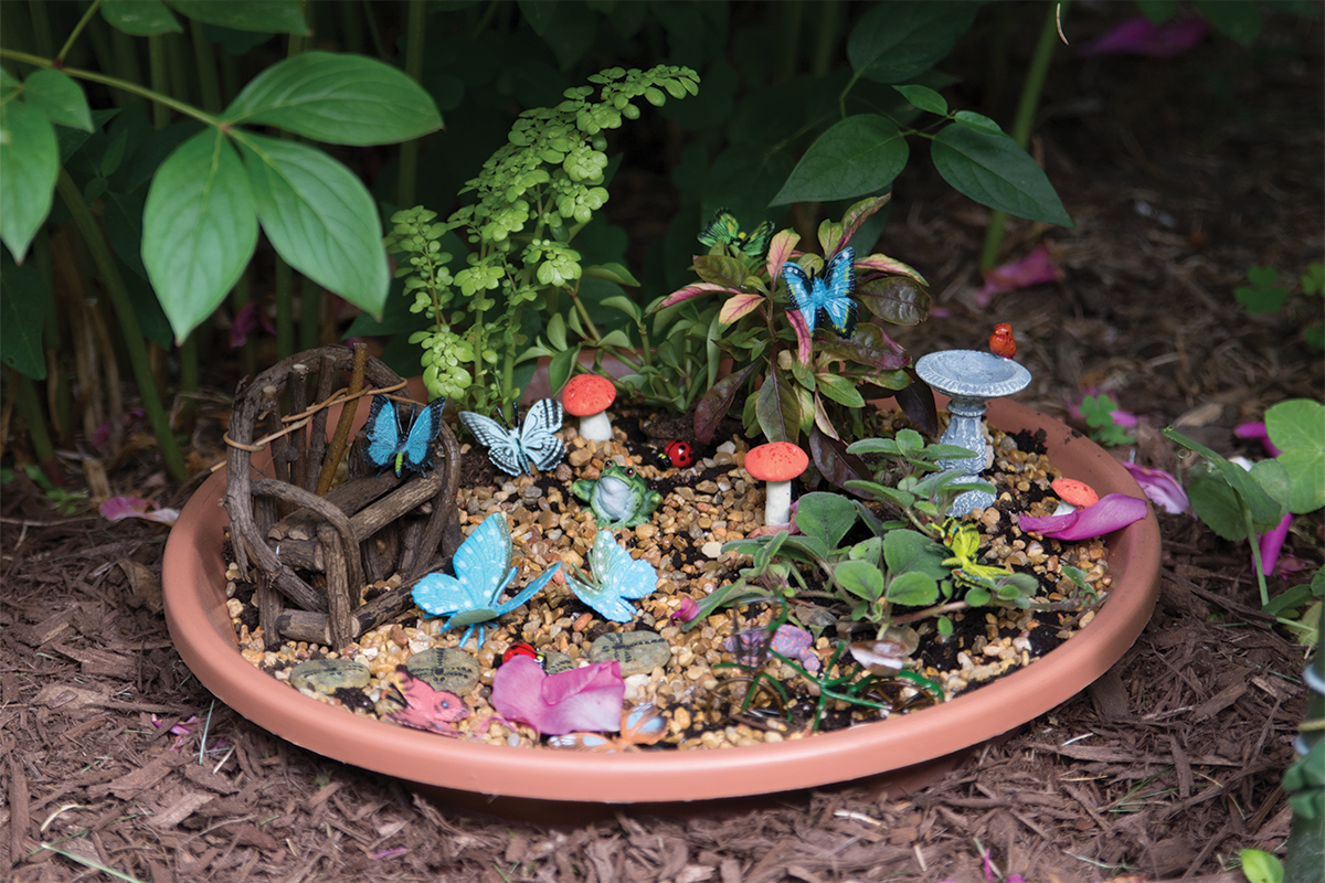 Mini fairy garden  for a fun summer activity. 