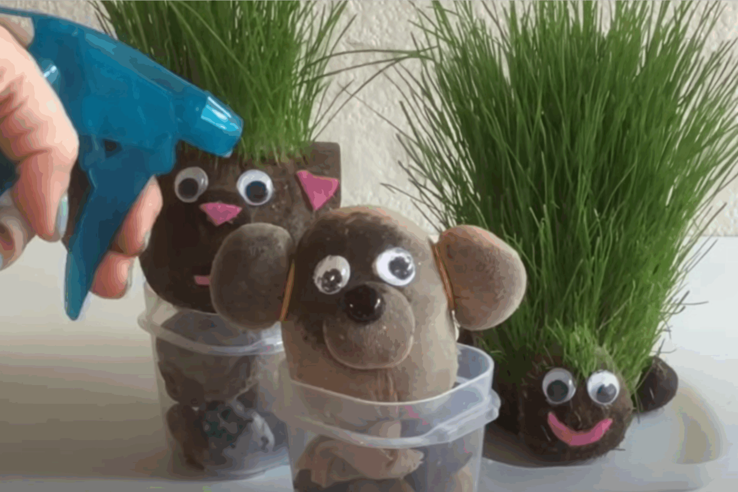 Fun grass hair animals silly summer activity for kids. 