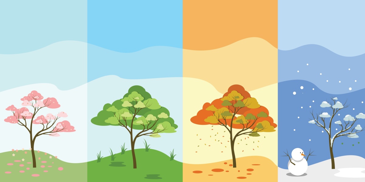 An illustrated image of a tree in all four seasons of the year.