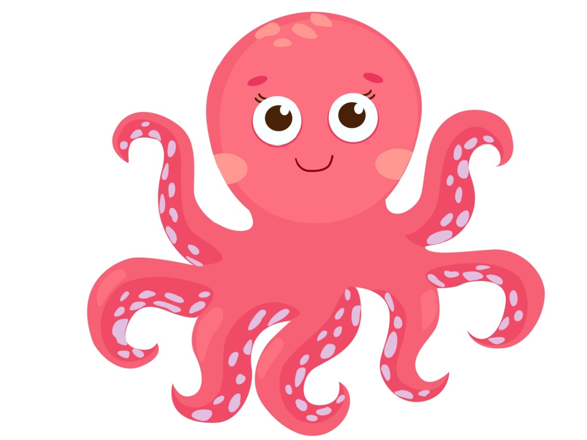 An illustration of a pink octopus. 