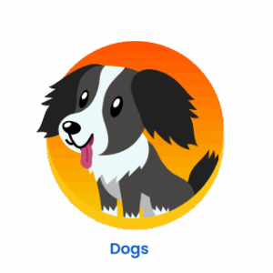 40 Fun First Day of School Activities & Games | ABCmouse