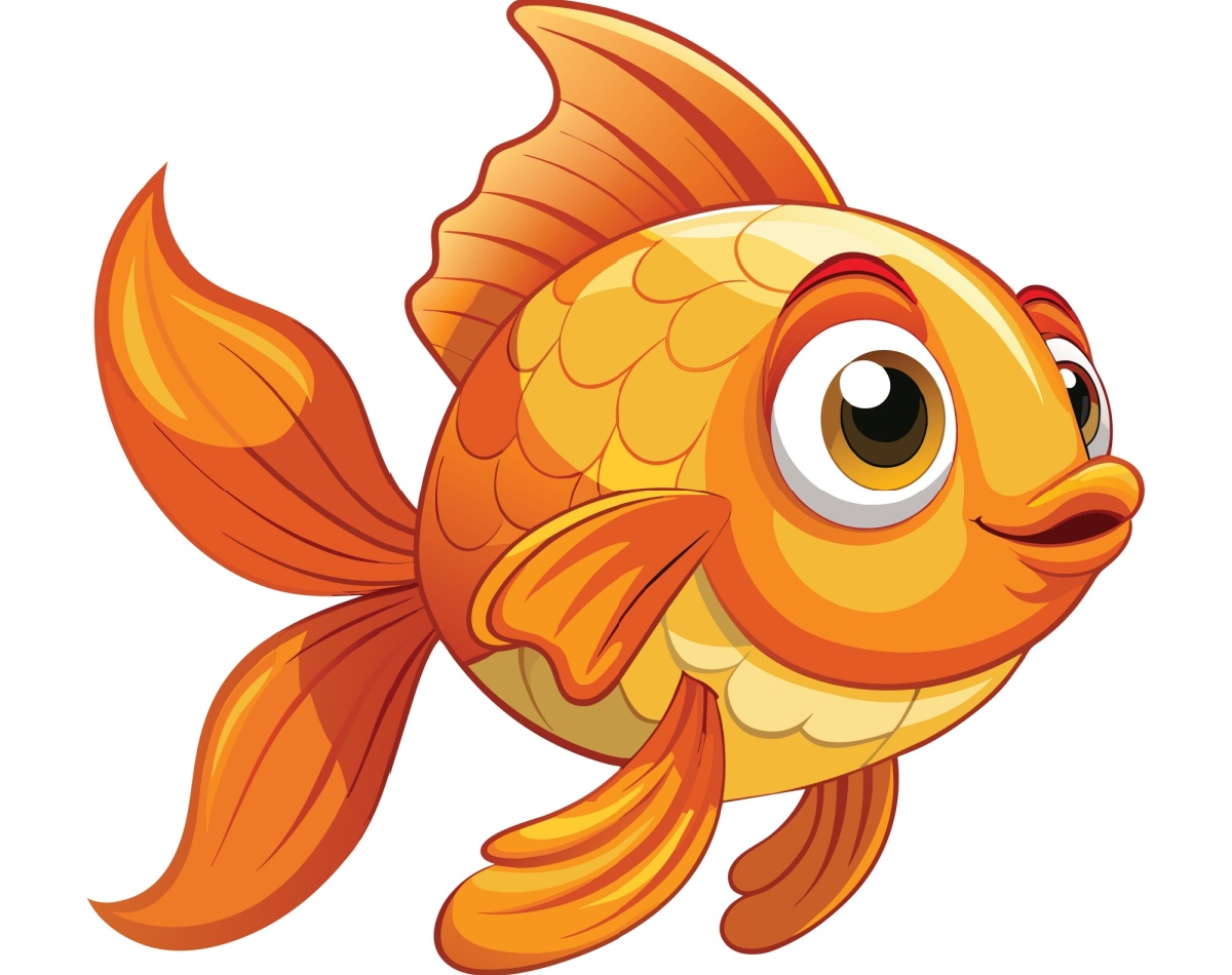 An illustration of a fish. 