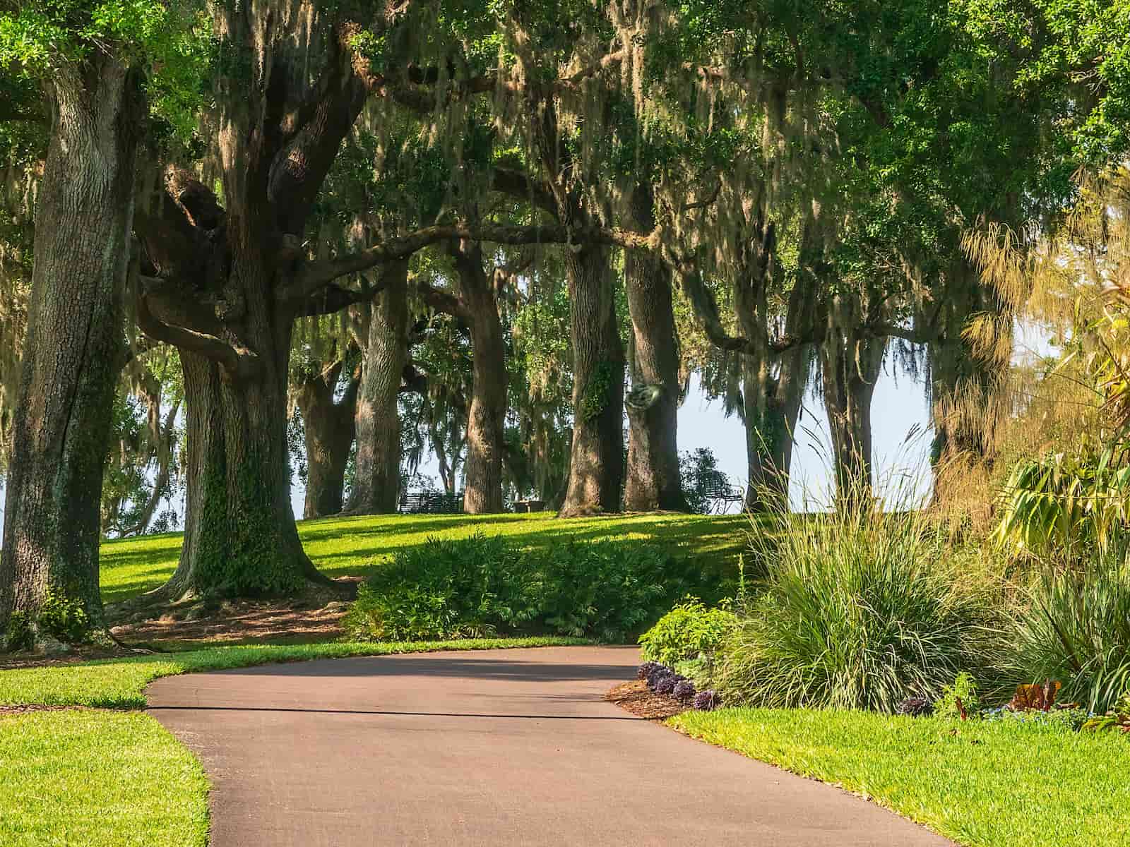 Garden path in Iron Mountain