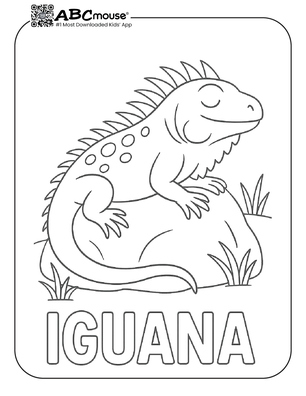 Free printable iguana coloring page from ABCmouse.com. 