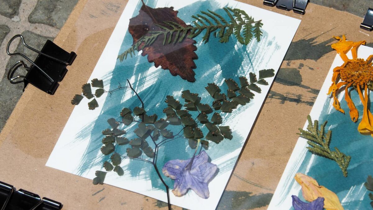 Sun print crafts for kids.