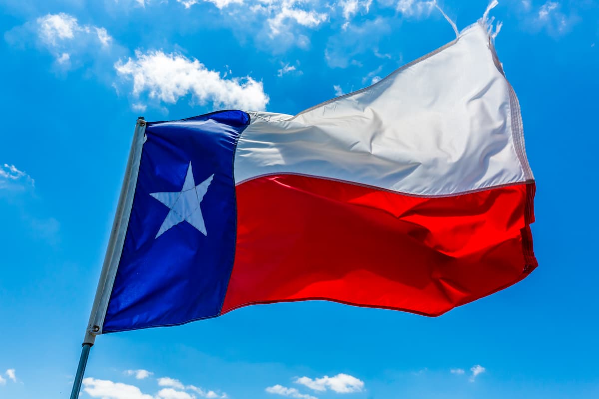 Texas state flag