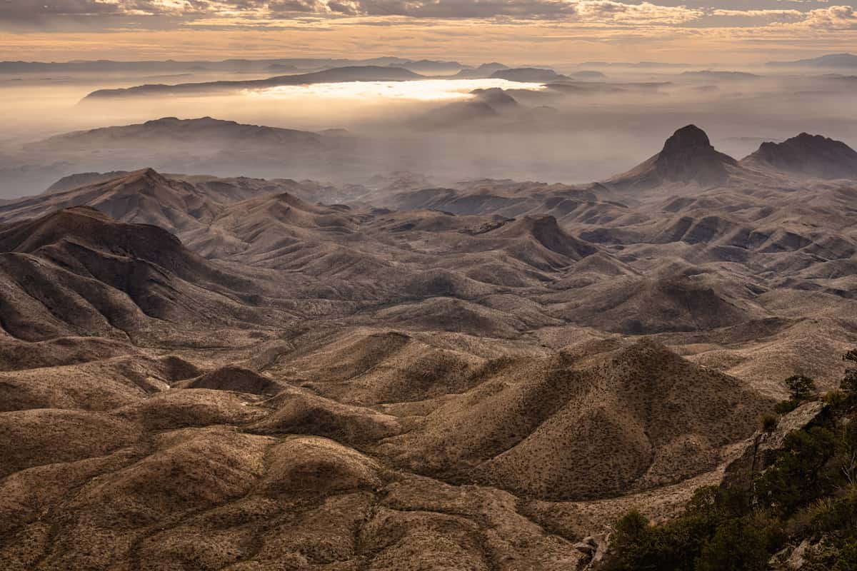 Chihuahuan Desert