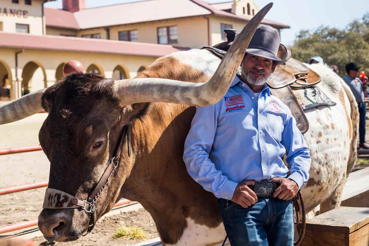 Texan Cowboy with a Long Horn Bull