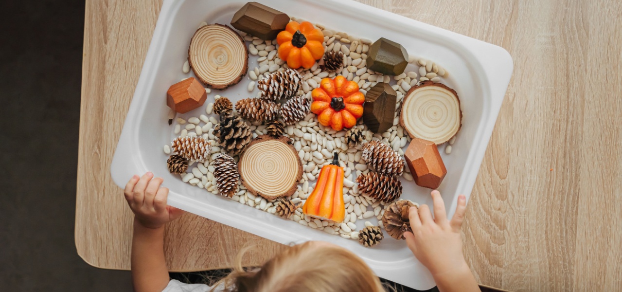 A fun fall sensory activities full of pinecones and pumpkins and beans.