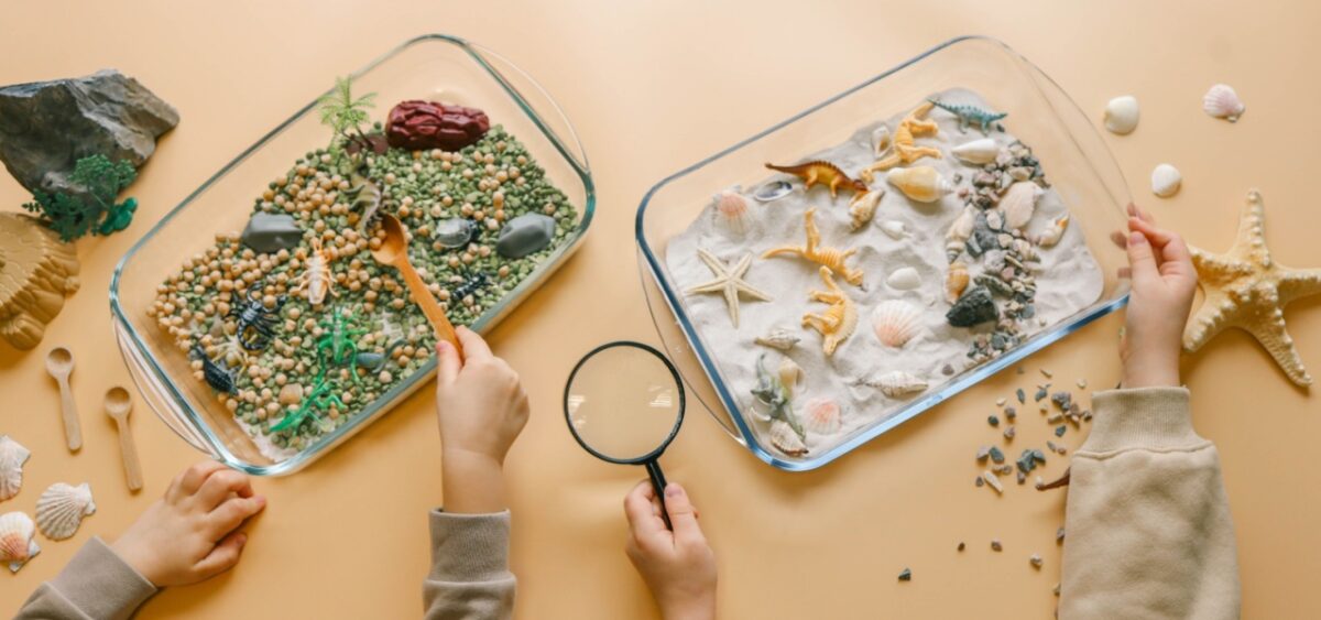 Fun sensory activities. Kids playing in bins with dinosaurs and shells. 