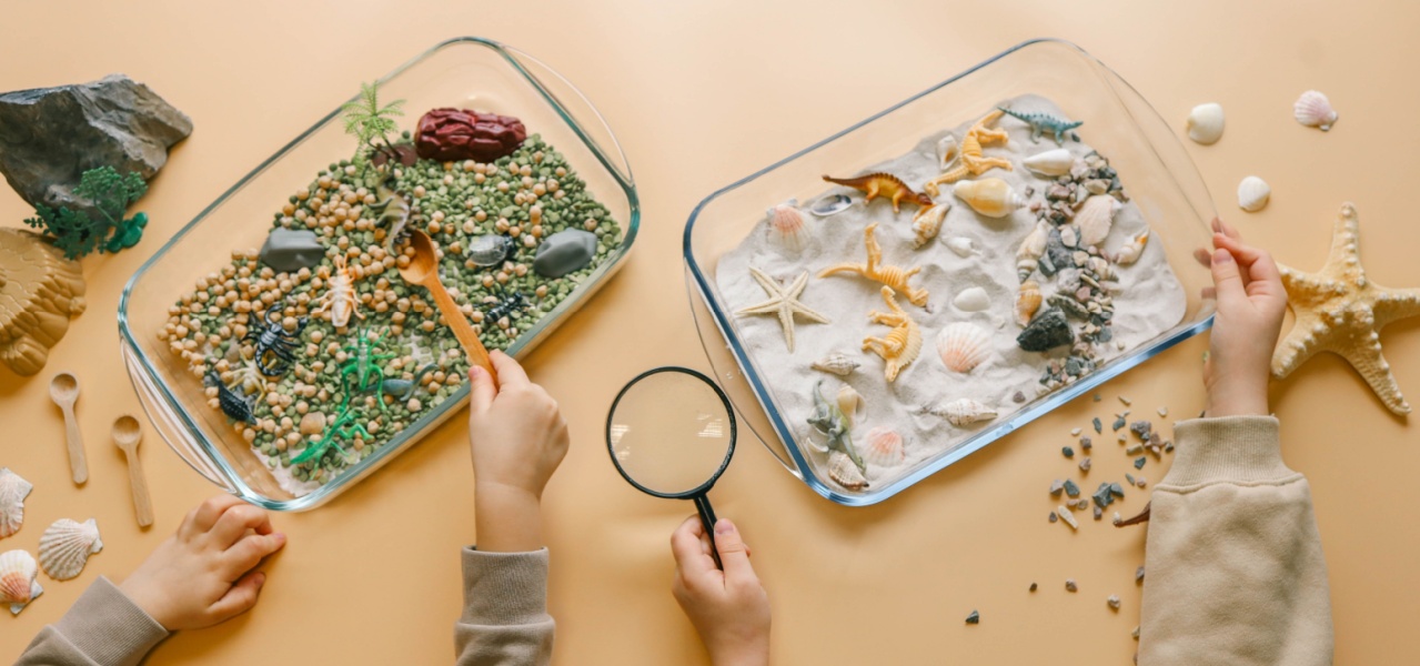 Fun sensory activities. Kids playing in bins with dinosaurs and shells.