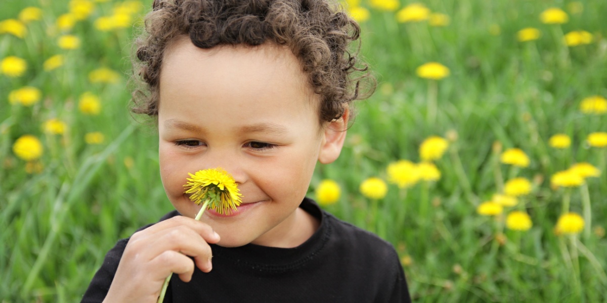 A young boy smelling a dandelion with a smile on his face. 