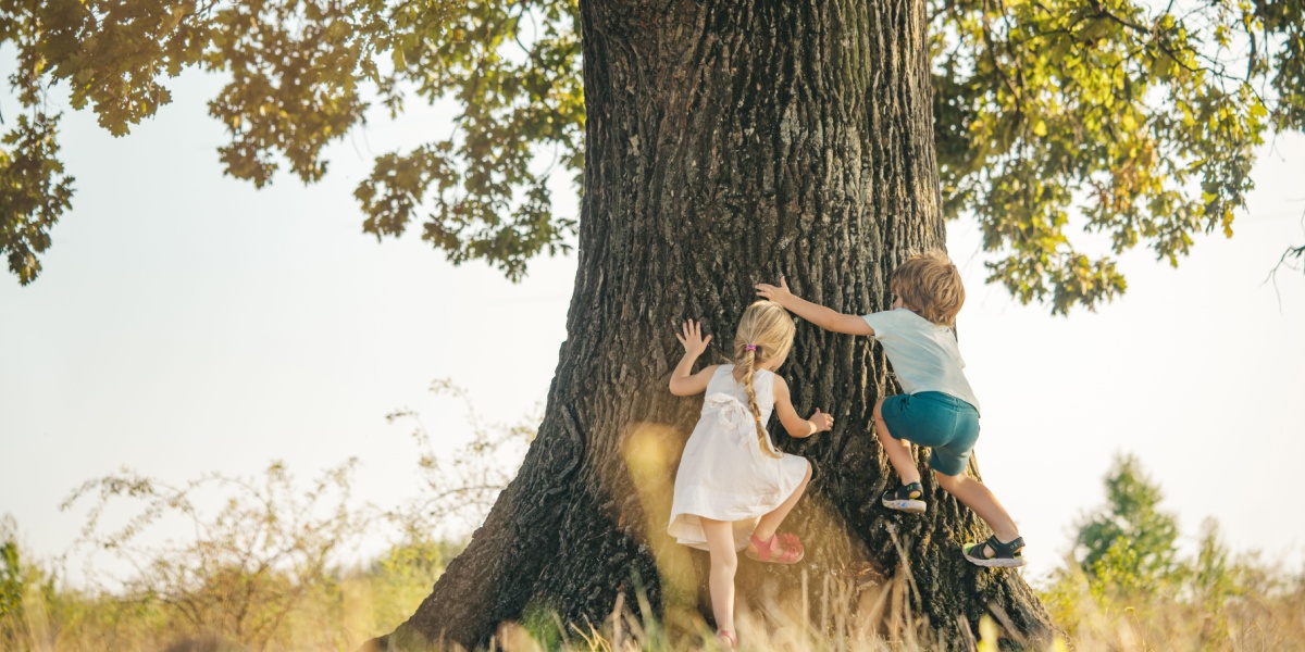 Two young kids climbing a tree together. 