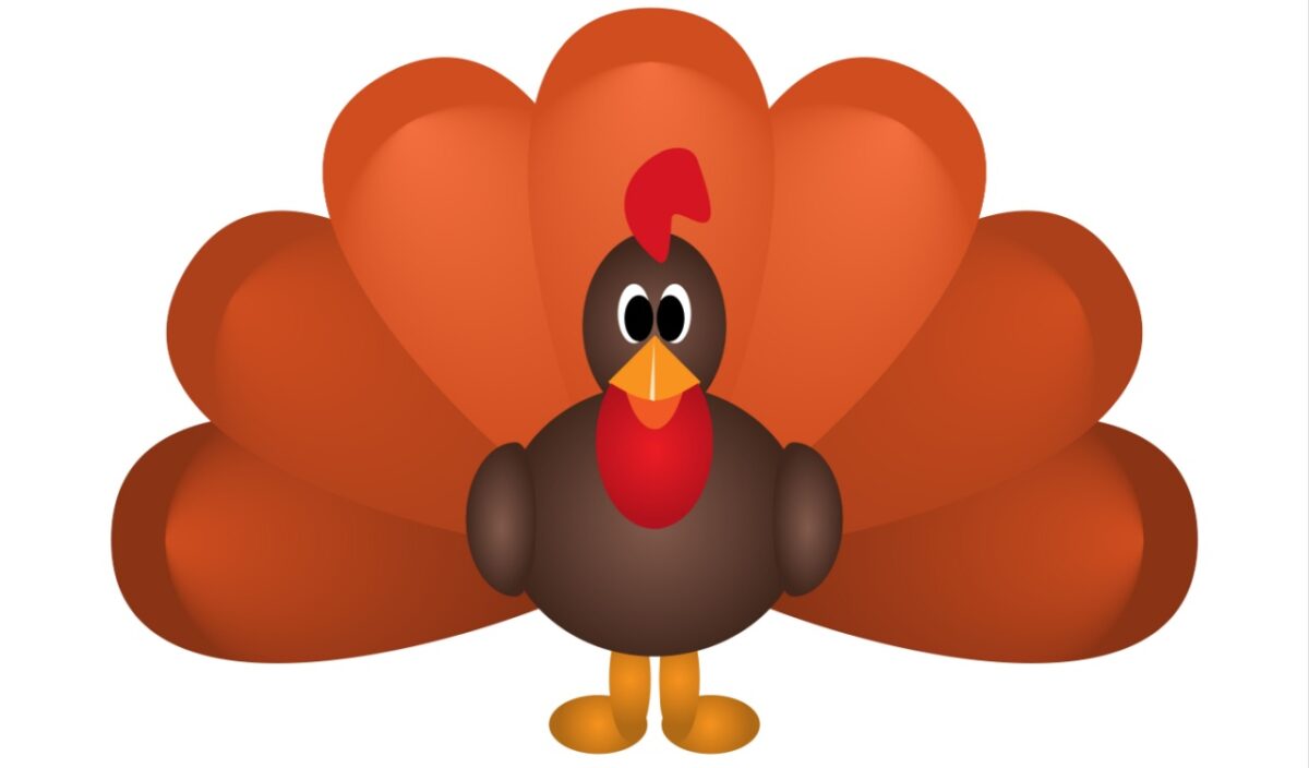 Colorful Thanksgiving turkey.