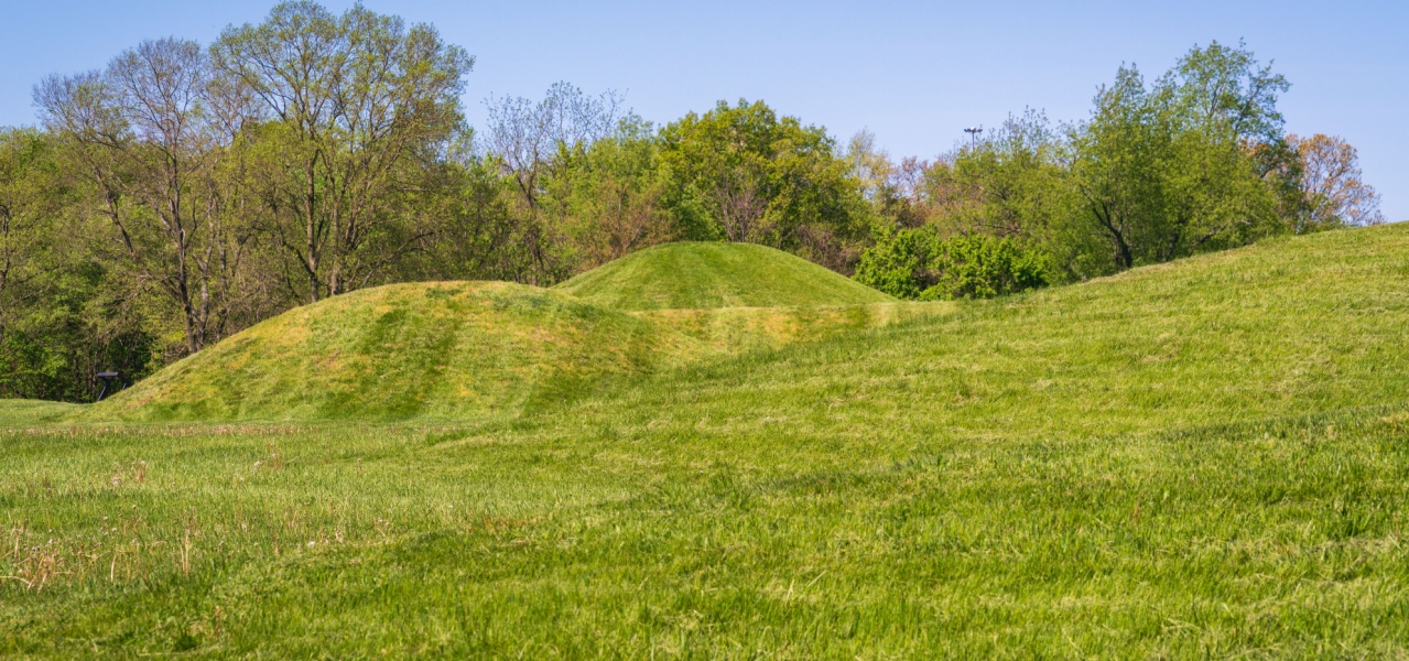 A grassy field. 