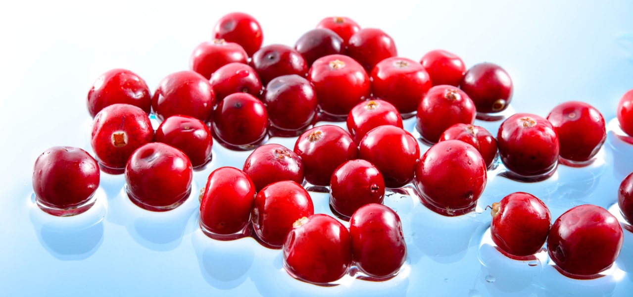 Bright red cranberries floating in water. 