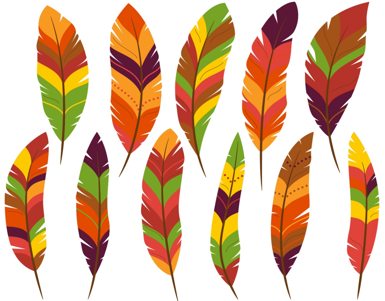 Colorful feathers on a white background.