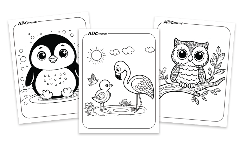 Free printable bird coloring pages for kids from ABCmouse.com. 
