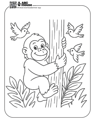 Free printable gorilla coloring page for kids from ABCmouse.com. 