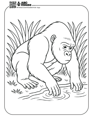 Free printable realistic gorilla coloring page for kids from ABCmouse.com. 