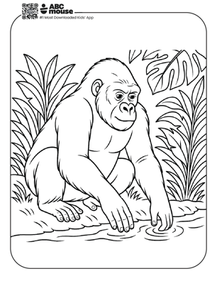Free printable realistic gorilla coloring page for kids from ABCmouse.com. 